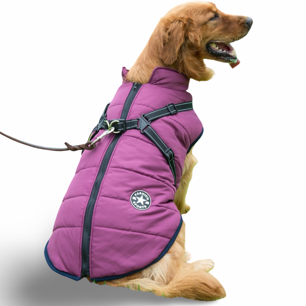 PawParka™ | Winter Jacket