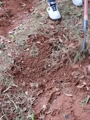 IronRake Weed Crusher