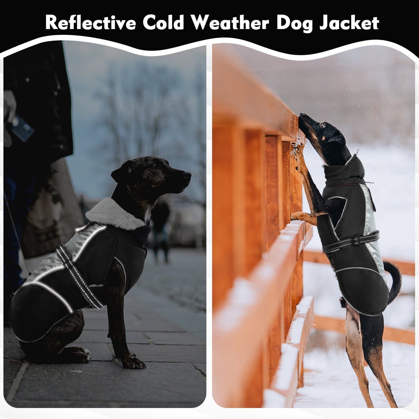 Reflective Vest | Waterproof Dog Vest