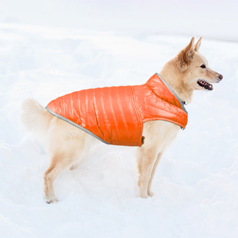 Winter Pet Vest | Reversible, Waterproof, Reflective