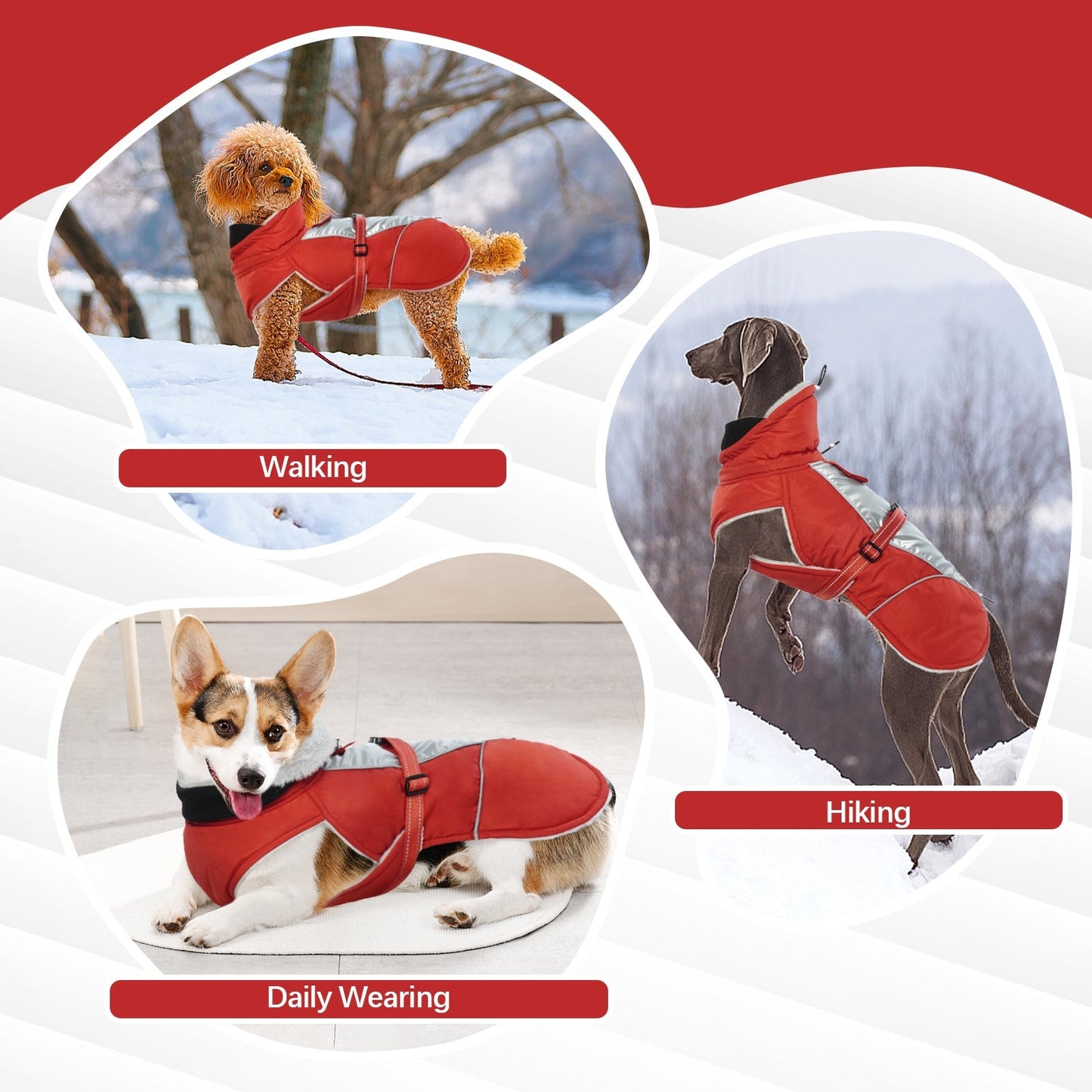 Reflective Vest | Waterproof Dog Vest