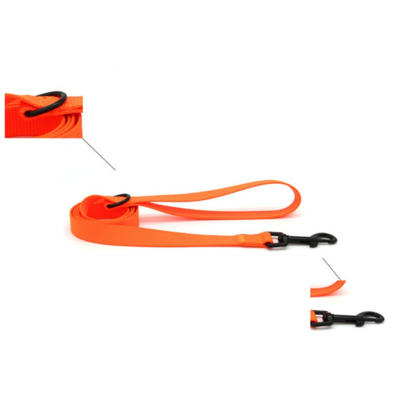 Dog Leash