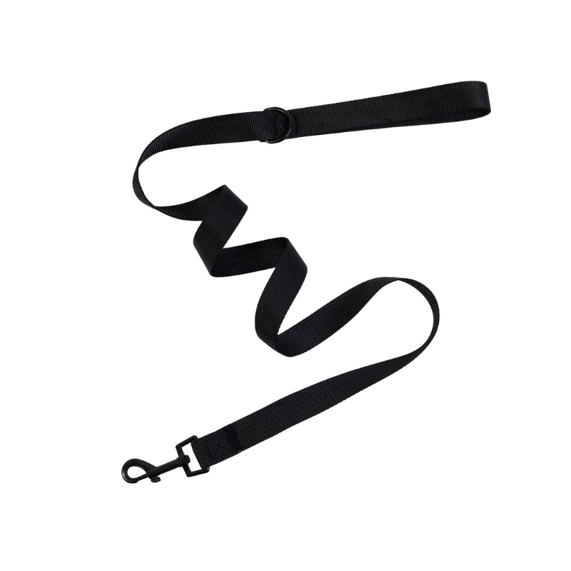 Dog Leash