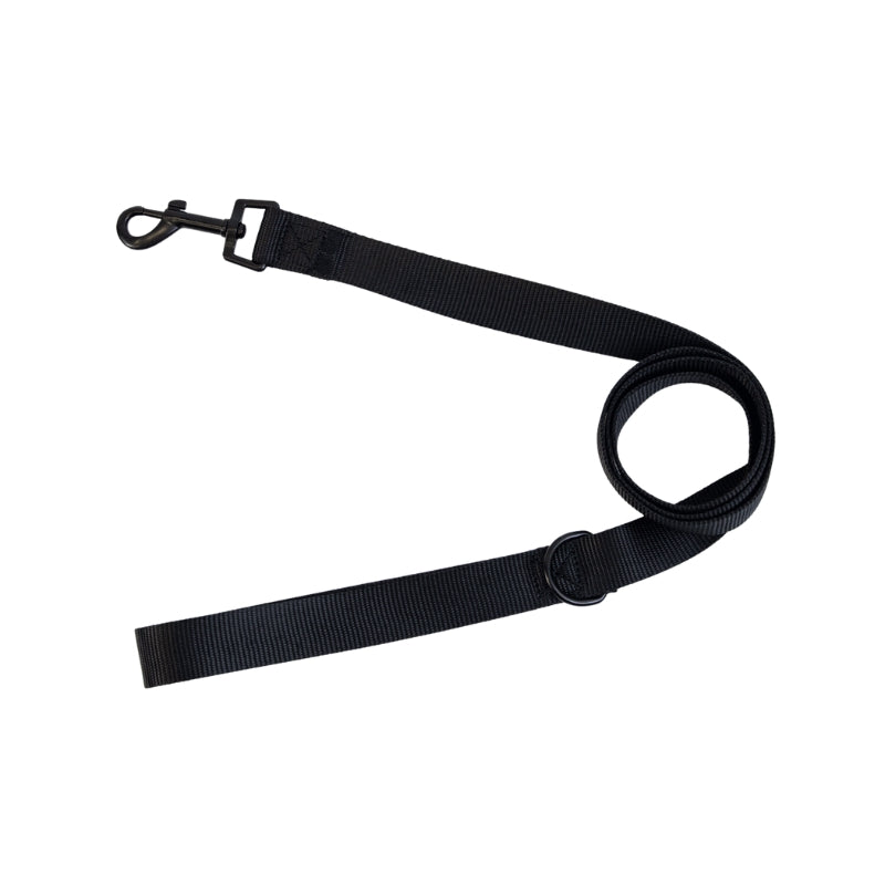 Dog Leash