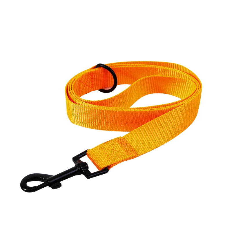 Dog Leash