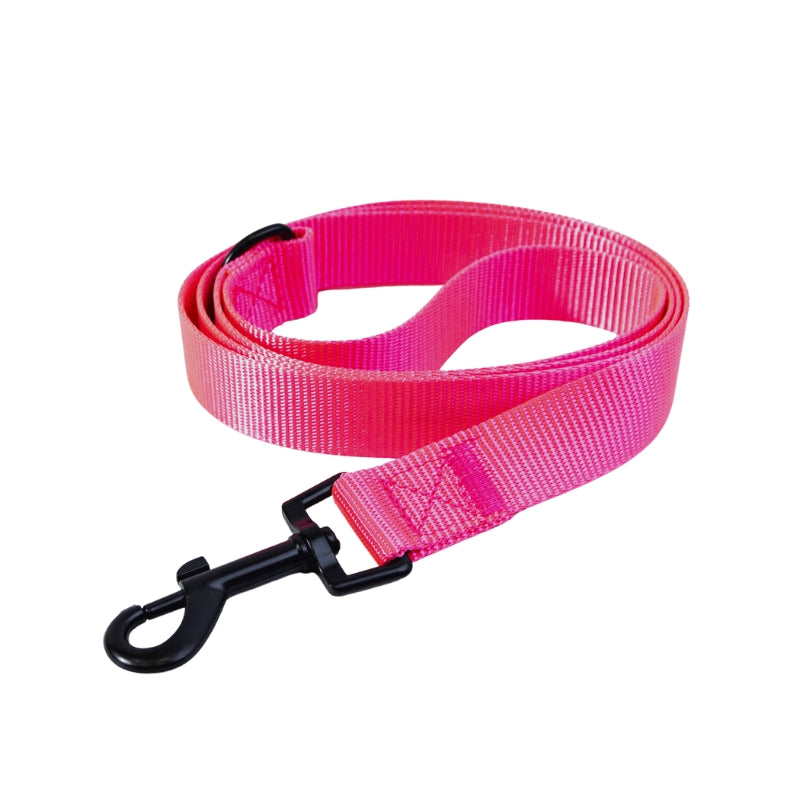 Dog Leash